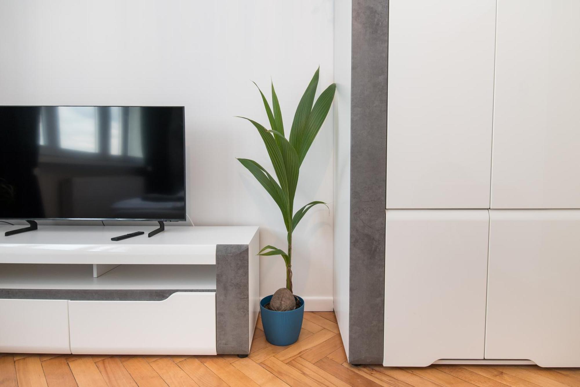 Apartament Dworcowa 24 Gliwice Eksteriør bilde
